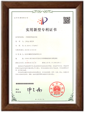 新型羅茨真空泵專利 新型羅茨真空泵專利