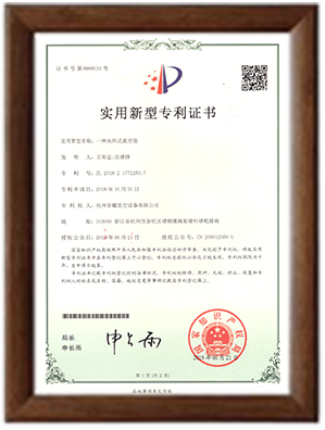 水環(huán)式真空泵專利 水環(huán)式真空泵專利