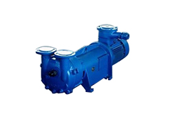 水環(huán)真空泵在安裝時(shí)要點(diǎn)有哪些?