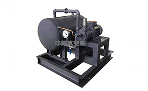 水環(huán)式真空泵為什么會(huì)出現(xiàn)噪音