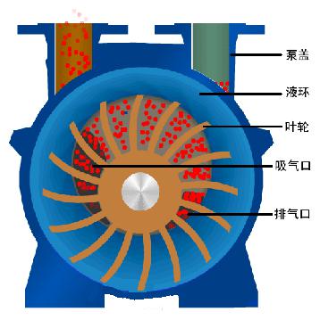 水環(huán)真空泵的工作原理