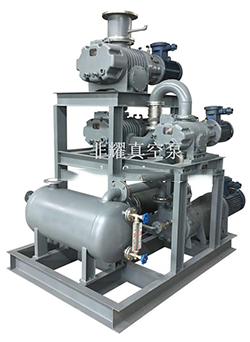 羅茨真空泵,羅茨泵,羅茨螺桿真空機(jī)組 羅茨真空泵,羅茨泵,羅茨螺桿真空機(jī)組